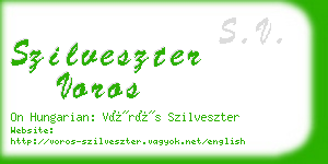 szilveszter voros business card